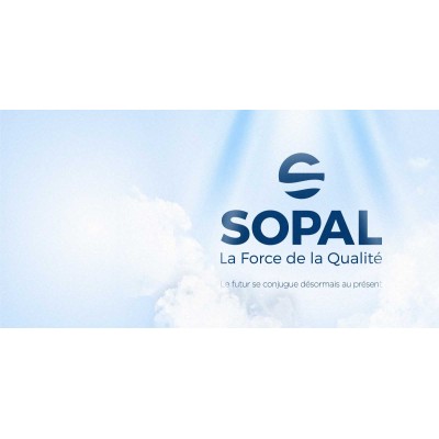 Robinet mural de cuisine SALAKTA avec accessoires de montage