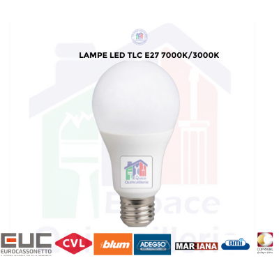 LAMPE LED E27 12W TLC