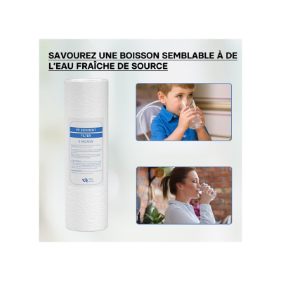 Filtre à eau standard 10 pouces cartouche IMP